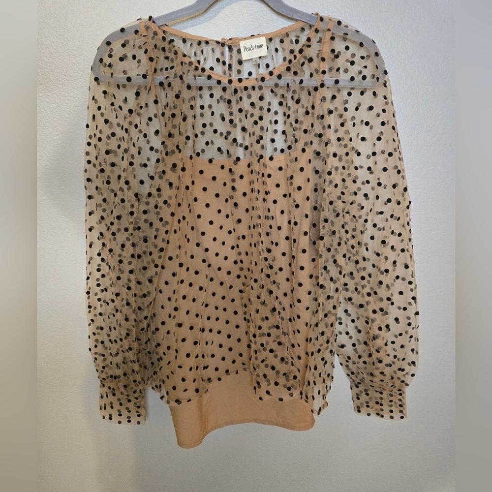 Sheer Polka Dot Blouse